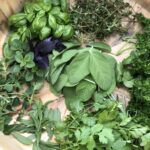 A basket full of leafy vegetables