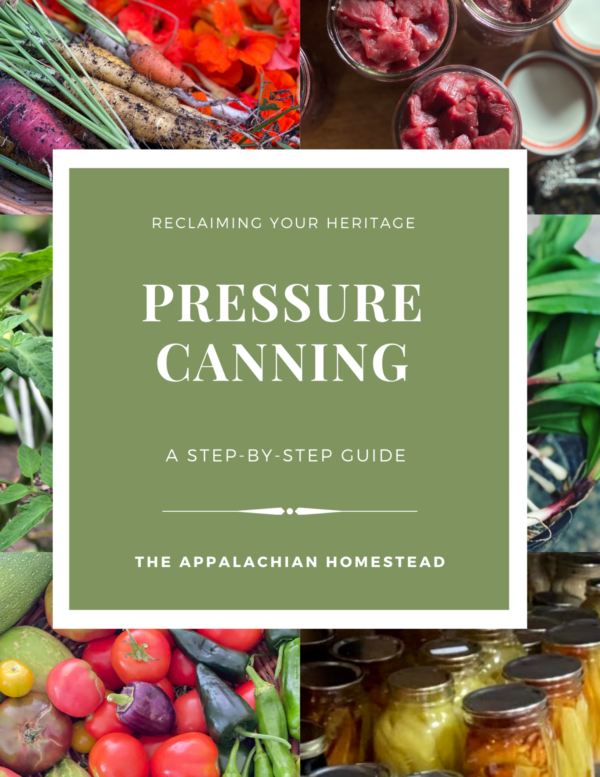Pressure Canning poster in green with vegetables behind