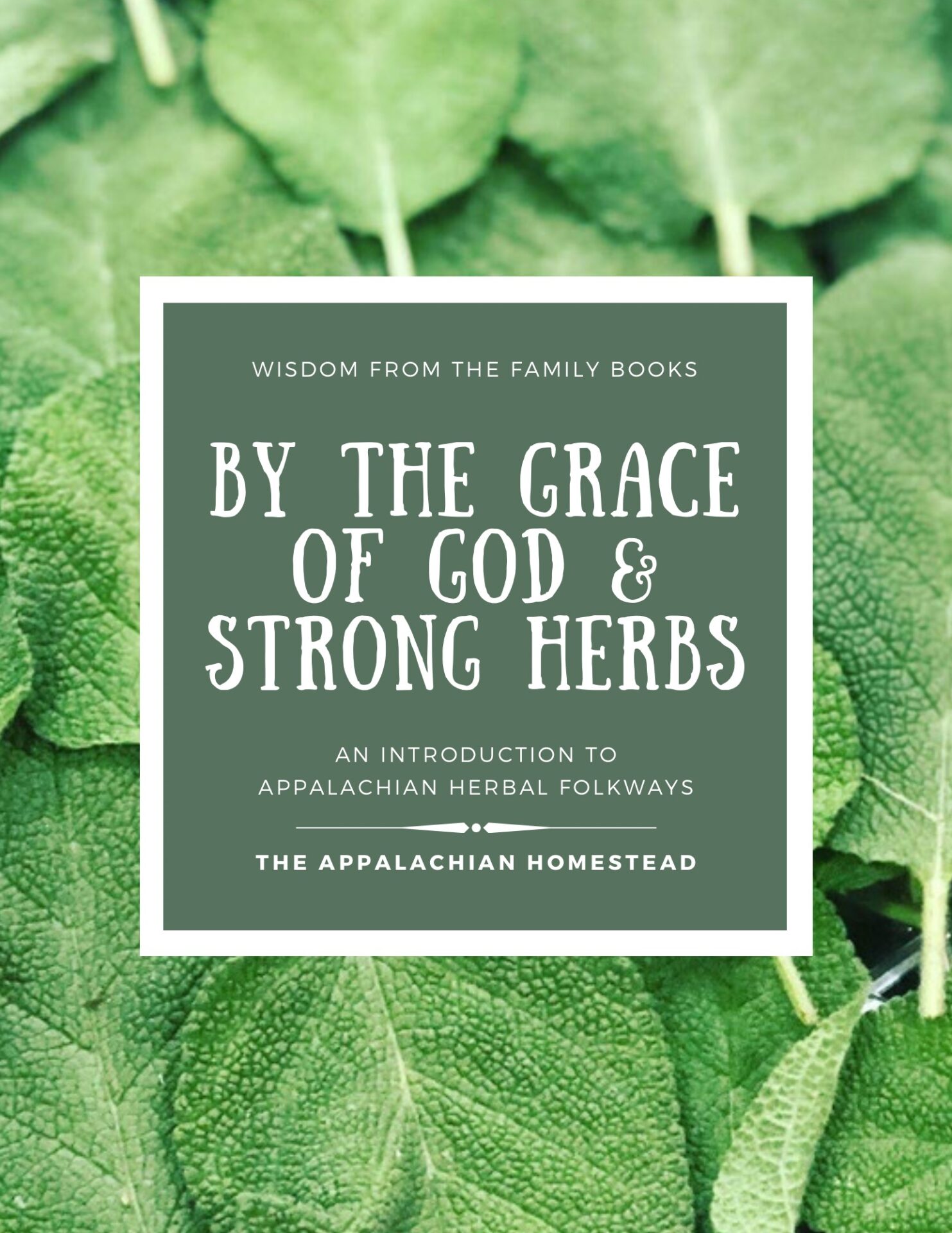 Introduction To Appalachian Herbal Folkways