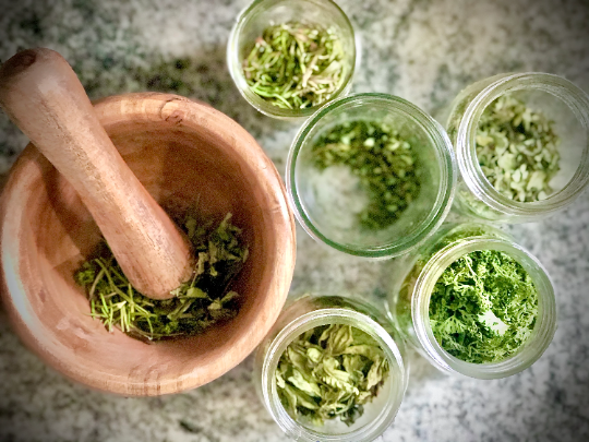 Homestead Skill 3:  Foraging Food and Medicine.  Wooden mortar and pestle surrounded by glass jars filled with a wide variety of beautiful green wild herbs