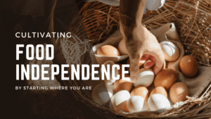 Food independence poster with a egg basket